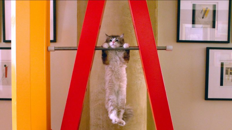 Una vita da gatto, la clip. Kevin Spacey è un gatto molto cattivo!