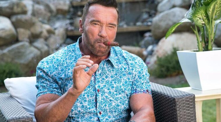 Immagine Copertina «Arnold Schwarzenegger dona 1 milione di dollari per aiutare le vittime degli incendi a Los Angeles»