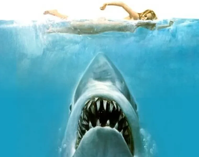 Steven Spielberg si rammarica dell'influenza che Lo squalo ha avuto sulla popolazione degli squali.