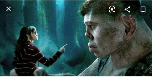 Immagine Copertina «La Scena Tagliata di Harry Potter e i Doni della Morte 2 della Battaglia di Hogwarts»