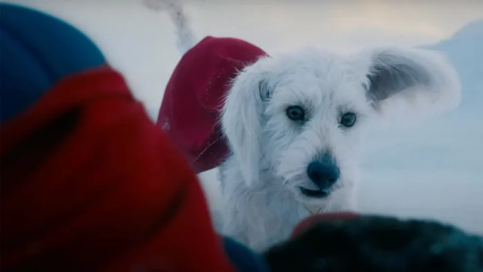 mister movie il trailer completo di superman di james gunn in arrivo oggi da Mistermovie.it mister movie il trailer completo di superman di james gunn in arrivo oggi